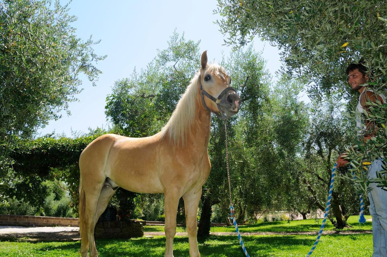 Agriturismo Le Ginestre كابوديمونتي المظهر الخارجي الصورة